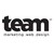 TEAM marketing.web.design