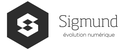 Sigmund | Évolution numérique