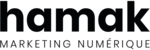 Hamak Marketing Numérique