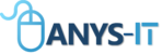 ANYS-IT INC