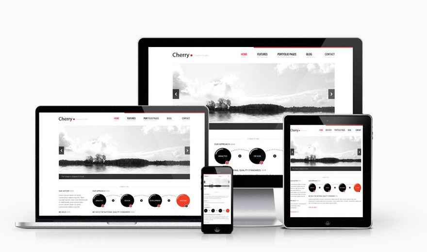 site internet wordpress adaptatif
