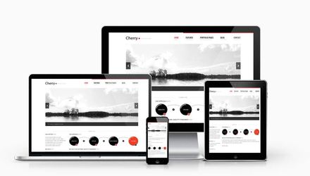 site internet wordpress adaptatif