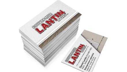 Impression 2000 Carte d'affaires Terrebonne 95$ Impression 2000 Carte d'affaires Terrebonne 95$