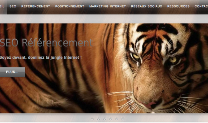 Site Web AW Referencement