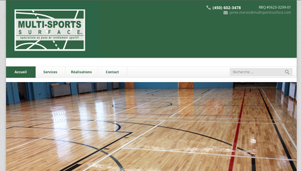 Multi Sports Surface Multi Sports Surface