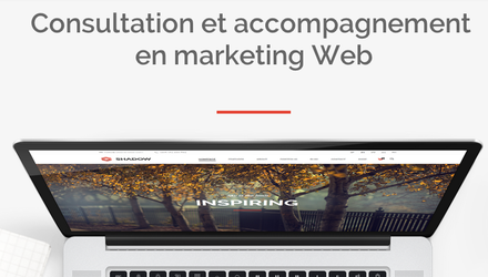 Accompagnement en marketing Web