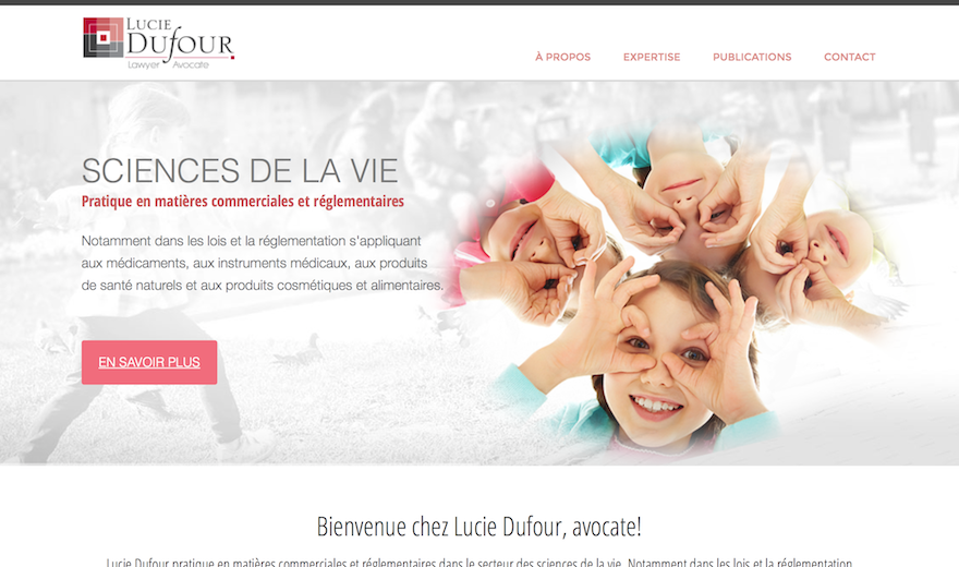 Lucie Dufour, Avocate