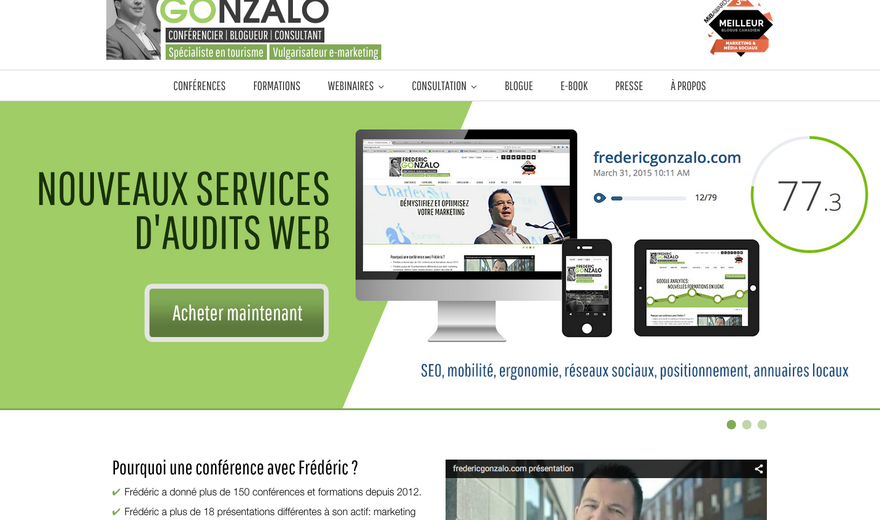 Site Web transactionnel, Frédéric Gonzalo, Consultant