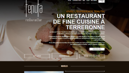 Conception de site web par Caméléon