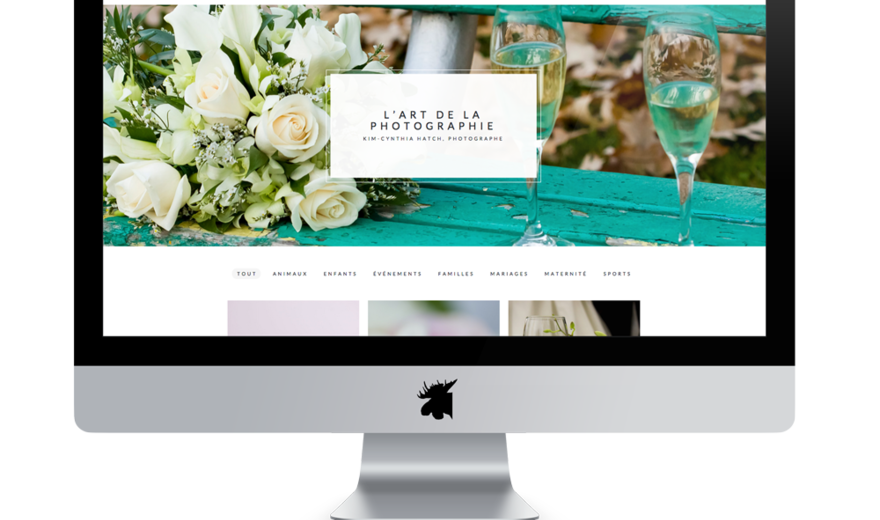 Maestra Studio
