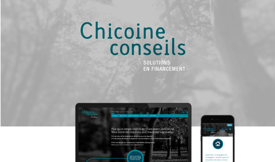 Chicoine Conseil