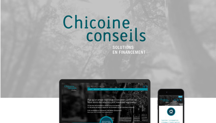 Chicoine Conseil Chicoine Conseil