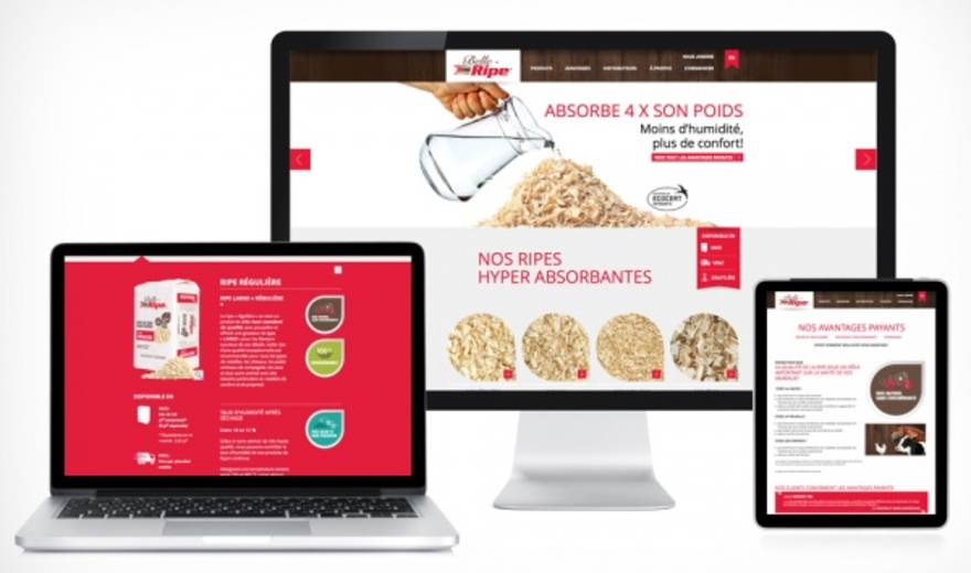 Site internet de Belle-Ripe