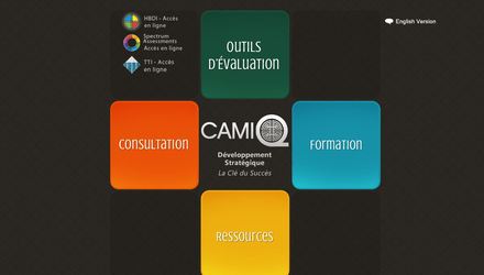 Site web de Camiq Inc.