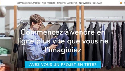 Développement de commerce étléctonique