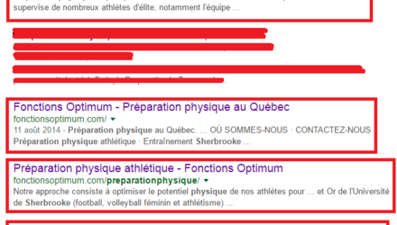 Résultats possibles avec Roy SEO Résultats possibles avec Roy SEO