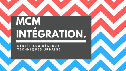 MCM INTÉGRATION MCM INTÉGRATION