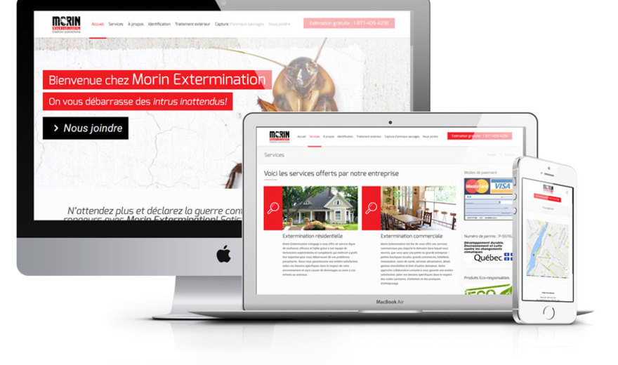 CONCEPTION DE SITE WEB WORDPRESS POUR MORIN EXTERMINATION