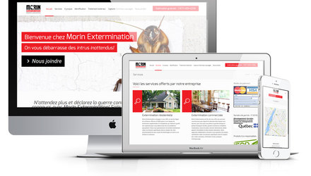 CONCEPTION DE SITE WEB WORDPRESS POUR MORIN EXTERMINATION CONCEPTION DE SITE WEB WORDPRESS POUR MORIN EXTERMINATION