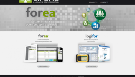Foréa/Logifor Foréa/Logifor