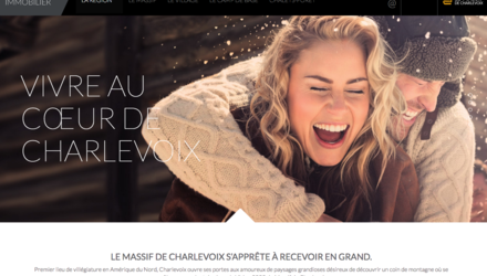 Le Massif - Vision 2020 Le Massif - Vision 2020