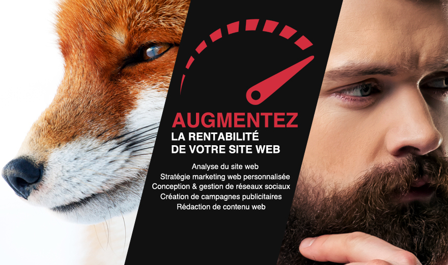 Futé Marketing - Agence web Futé Marketing - Agence web