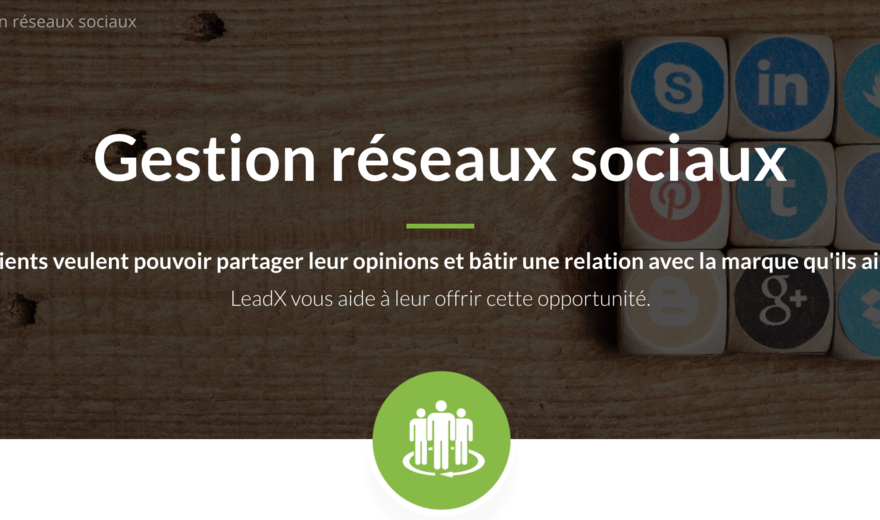 LEADX_Gestion_Réseaux_Sociaux