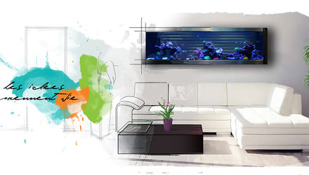 DÉVELOPPEMENT WEB INSIDEKO DÉCORATION DÉVELOPPEMENT WEB INSIDEKO DÉCORATION