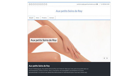 Aux petits Soins de Roy Aux petits Soins de Roy