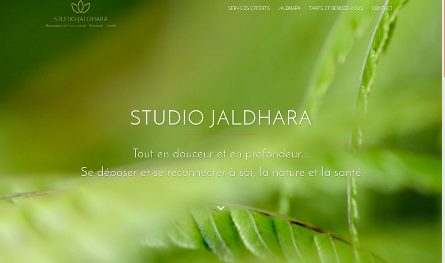 studio Jaldhara