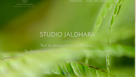 studio Jaldhara studio Jaldhara