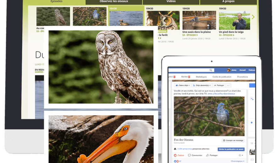 Gestion de campagnes marketing sur les réseaux sociaux