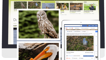 Gestion de campagnes marketing sur les réseaux sociaux Gestion de campagnes marketing sur les réseaux sociaux