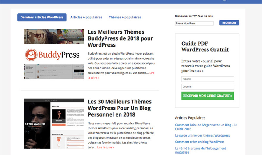 WP Pour les Nuls WP Pour les Nuls