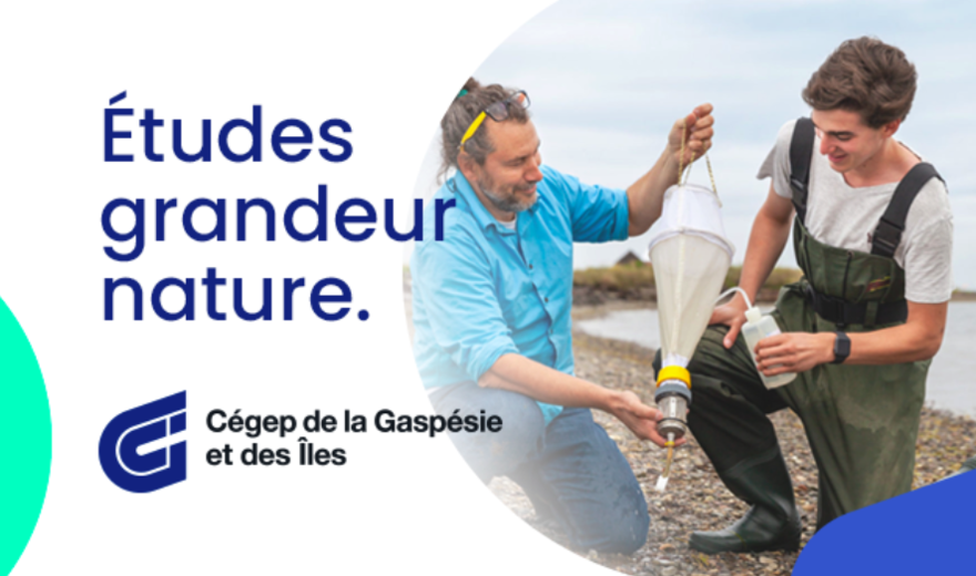 Cégep de Gaspésie et des îles Cégep de Gaspésie et des îles