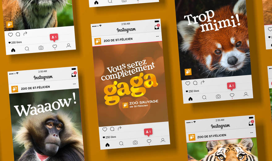 Stratégie et campagne publicitaire intégrée Stratégie et campagne publicitaire intégrée