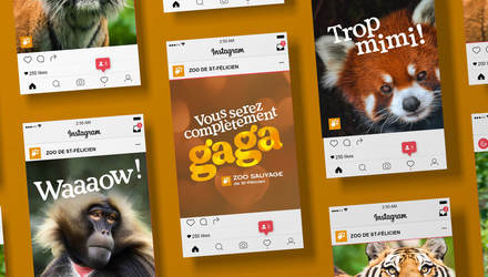 Stratégie et campagne publicitaire intégrée