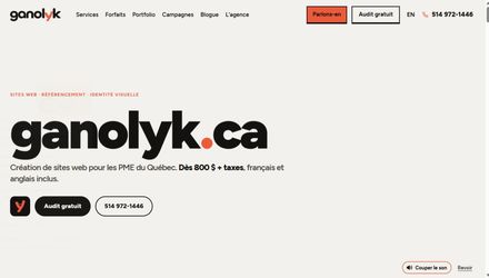 Site web Ganolyk — Conception bilingue et identité visuelle