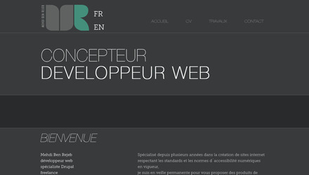développeur web freelance (mon site web) 